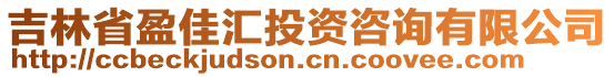 吉林省盈佳匯投資咨詢有限公司