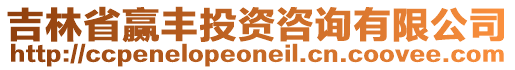 吉林省贏豐投資咨詢有限公司