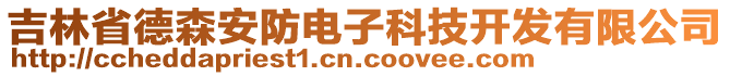 吉林省德森安防電子科技開發(fā)有限公司