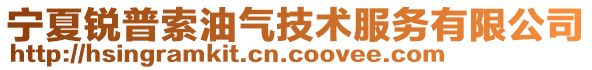 寧夏銳普索油氣技術服務有限公司