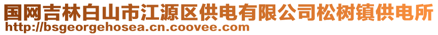 國網(wǎng)吉林白山市江源區(qū)供電有限公司松樹鎮(zhèn)供電所