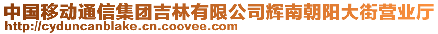 中國移動(dòng)通信集團(tuán)吉林有限公司輝南朝陽大街營業(yè)廳