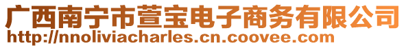 广西南宁市萱宝电子商务有限公司