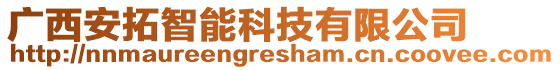 廣西安拓智能科技有限公司