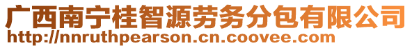 廣西南寧桂智源勞務(wù)分包有限公司