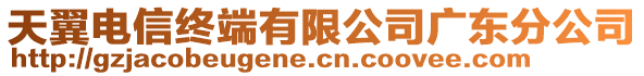 天翼電信終端有限公司廣東分公司