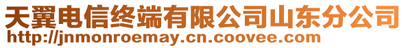 天翼電信終端有限公司山東分公司