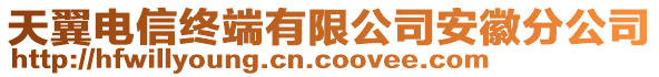 天翼電信終端有限公司安徽分公司