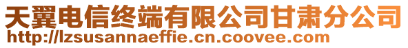 天翼電信終端有限公司甘肅分公司