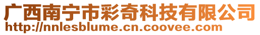 廣西南寧市彩奇科技有限公司