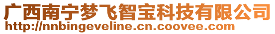 廣西南寧夢飛智寶科技有限公司