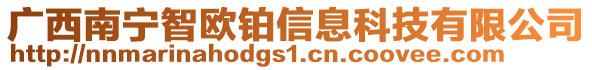 廣西南寧智歐鉑信息科技有限公司