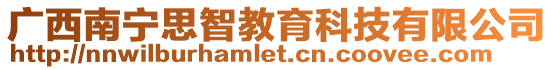 廣西南寧思智教育科技有限公司