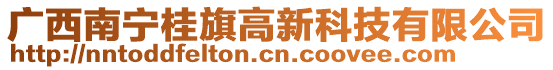 廣西南寧桂旗高新科技有限公司