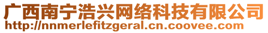 廣西南寧浩興網絡科技有限公司