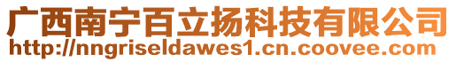 廣西南寧百立揚(yáng)科技有限公司