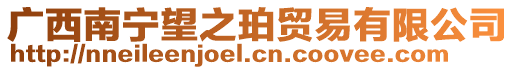 廣西南寧望之珀貿易有限公司