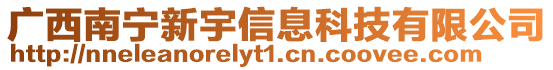 廣西南寧新宇信息科技有限公司