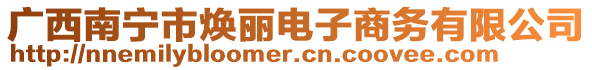 廣西南寧市煥麗電子商務(wù)有限公司