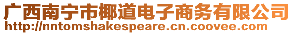 廣西南寧市椰道電子商務(wù)有限公司