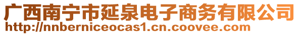 廣西南寧市延泉電子商務(wù)有限公司