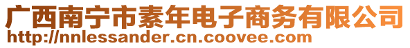 廣西南寧市素年電子商務有限公司