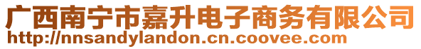 廣西南寧市嘉升電子商務有限公司