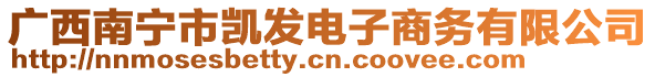 廣西南寧市凱發(fā)電子商務(wù)有限公司