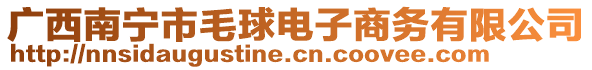 廣西南寧市毛球電子商務(wù)有限公司