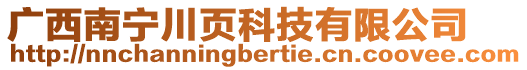 廣西南寧川頁(yè)科技有限公司