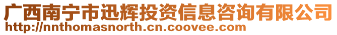 廣西南寧市迅輝投資信息咨詢(xún)有限公司