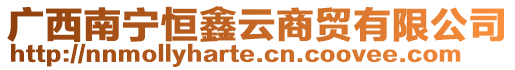 廣西南寧恒鑫云商貿(mào)有限公司