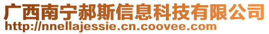 廣西南寧郝斯信息科技有限公司