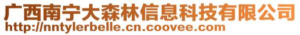 廣西南寧大森林信息科技有限公司