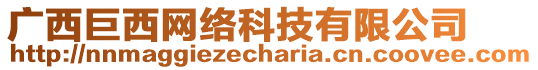 廣西巨西網絡科技有限公司