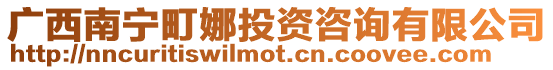 廣西南寧町娜投資咨詢有限公司