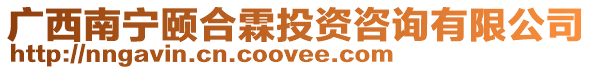 廣西南寧頤合霖投資咨詢有限公司