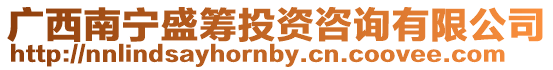廣西南寧盛籌投資咨詢有限公司
