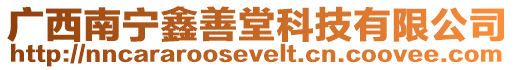 廣西南寧鑫善堂科技有限公司