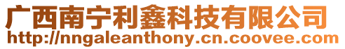 廣西南寧利鑫科技有限公司