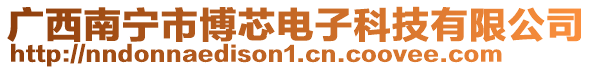 廣西南寧市博芯電子科技有限公司