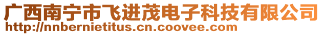 廣西南寧市飛進茂電子科技有限公司