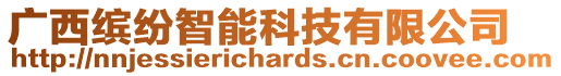 廣西繽紛智能科技有限公司