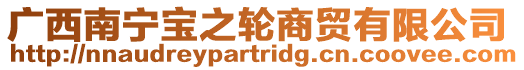 廣西南寧寶之輪商貿有限公司