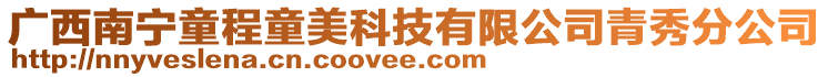 廣西南寧童程童美科技有限公司青秀分公司