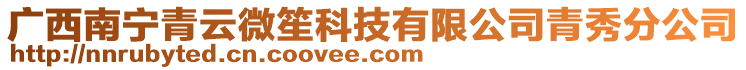 廣西南寧青云微笙科技有限公司青秀分公司