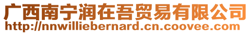 廣西南寧潤在吾貿易有限公司