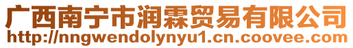 廣西南寧市潤霖貿易有限公司