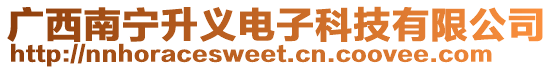 廣西南寧升義電子科技有限公司