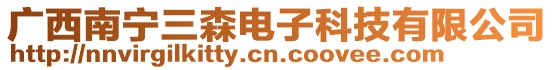 廣西南寧三森電子科技有限公司